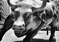 Real Estate Connect – The Housing Debate: Bulls vs. Bears Image
