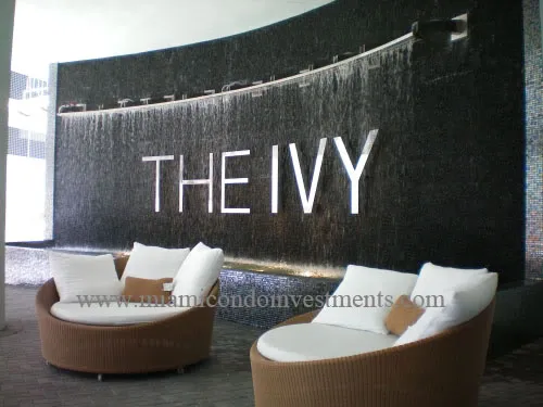 The Ivy – A Photo Tour Image