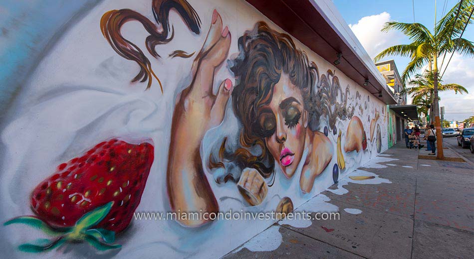 Wall Art in Wynwood Miami