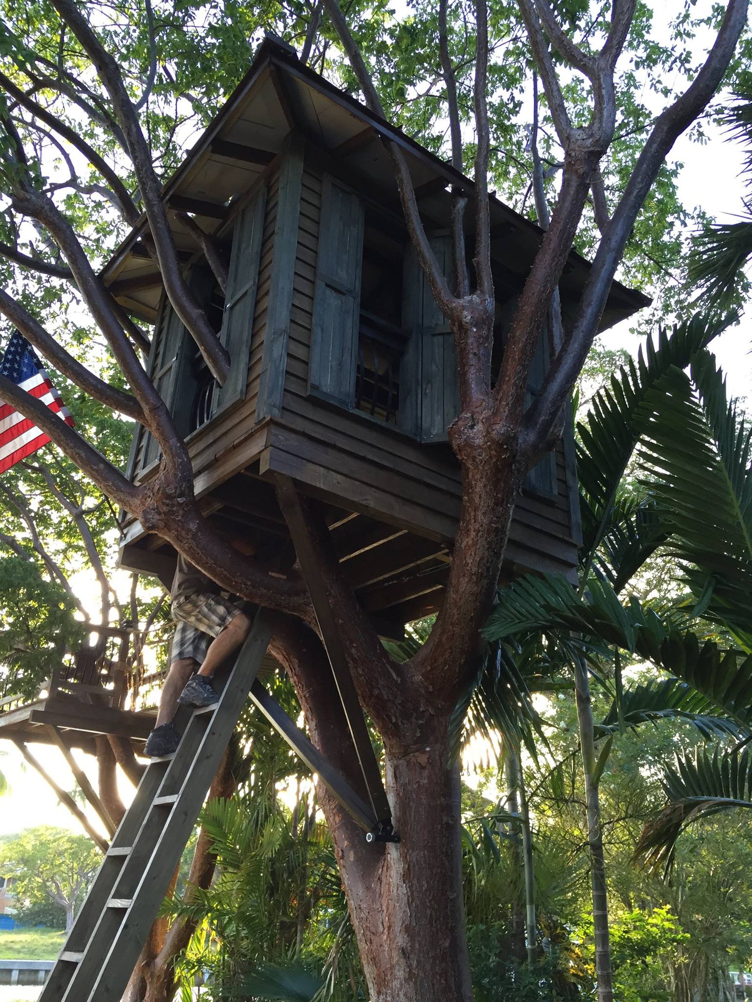 Miami-Based Company Builds Tree Houses for the Ages Image
