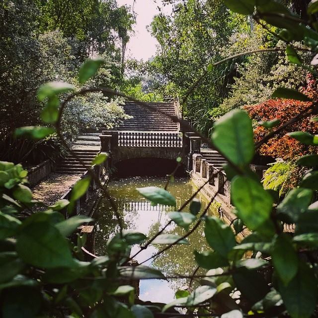 Vizcaya’s Marine Garden is Reopening Tomorrow After More Than Ten Years Image