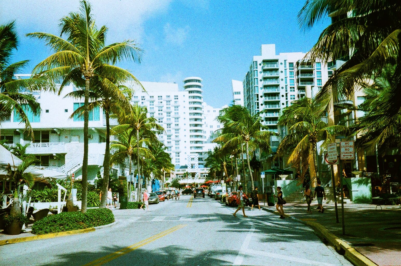 New Zika Zone is Almost All of South Beach Image