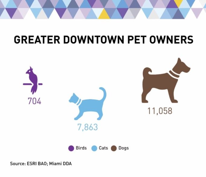 Almost 40% of Downtown Miami Residents Have Pets – Strategies for Investors and Tenants Image