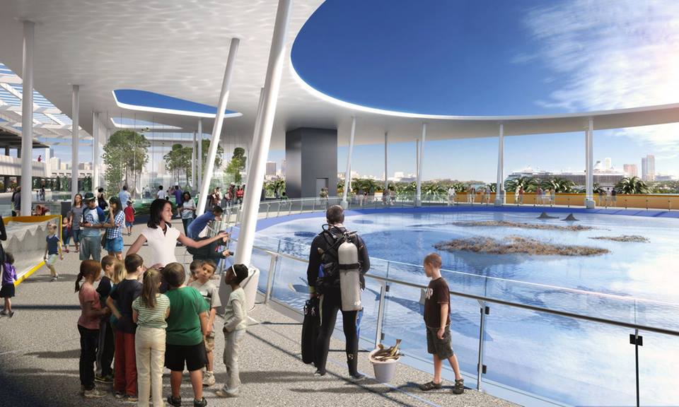 Frost Science Museum Releases New Interactive Website With Floor Plans Image