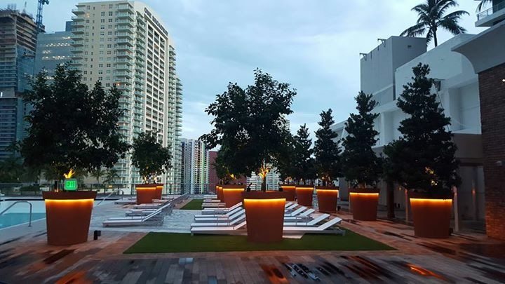 SLS Brickell Opening Rescheduled for October 10 Image