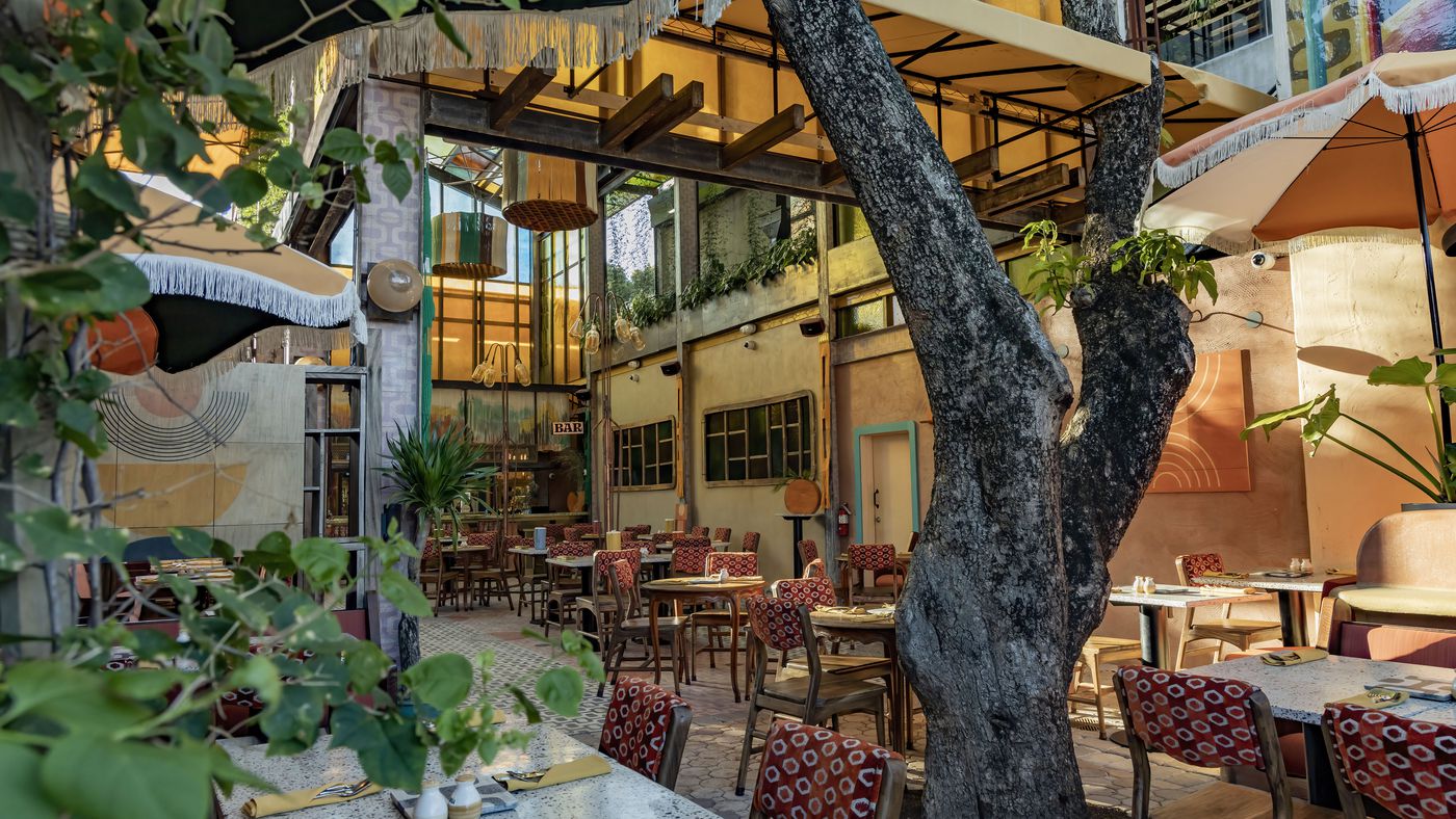 Award-Winning Chef Tom Aviv Opens First United States Restaurant in Miami-Branja Image